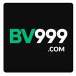 BV999 Game