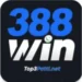 388 Win Game